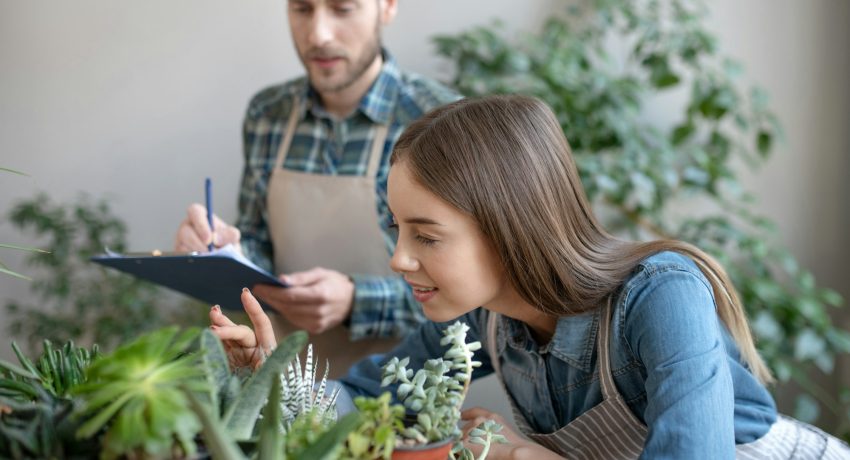 Woman and a man checking the health of plants